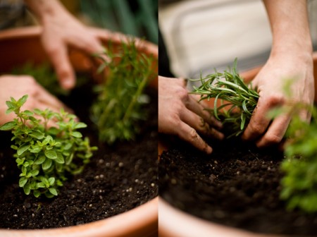 4491476858_f54c189e27_o