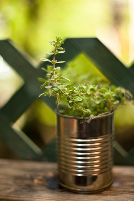 4558899854_43362d6472_o