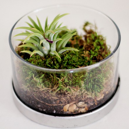 5380199924_666f52ea9d