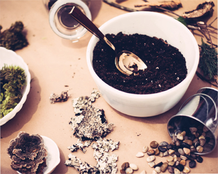 Terrarium Instructions.indd