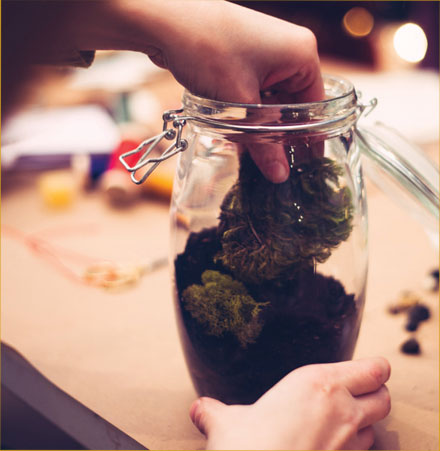 Terrarium-PHOTO-3