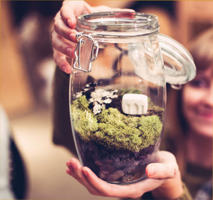 Terrarium-PHOTO-5
