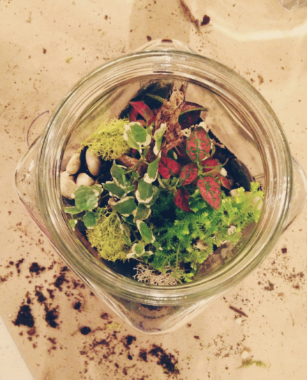 Screen Shot 2014-04-21 at 3.37.47 PM