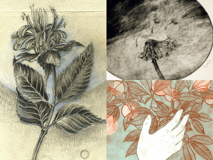 8eb81868a87b47f4905b5dec005b0172