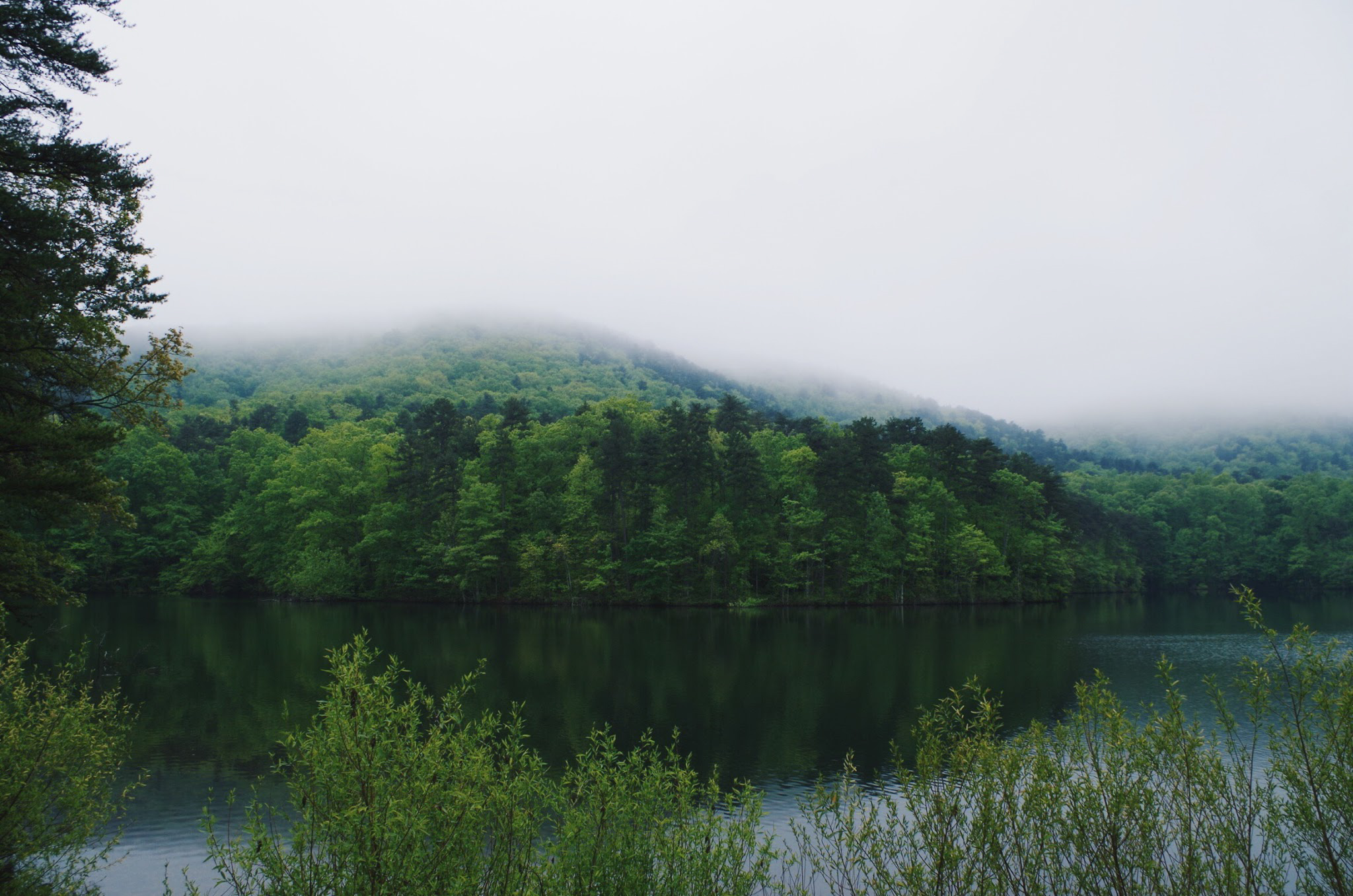   Paris Mountain State Park - Photo by Evan Lewis  