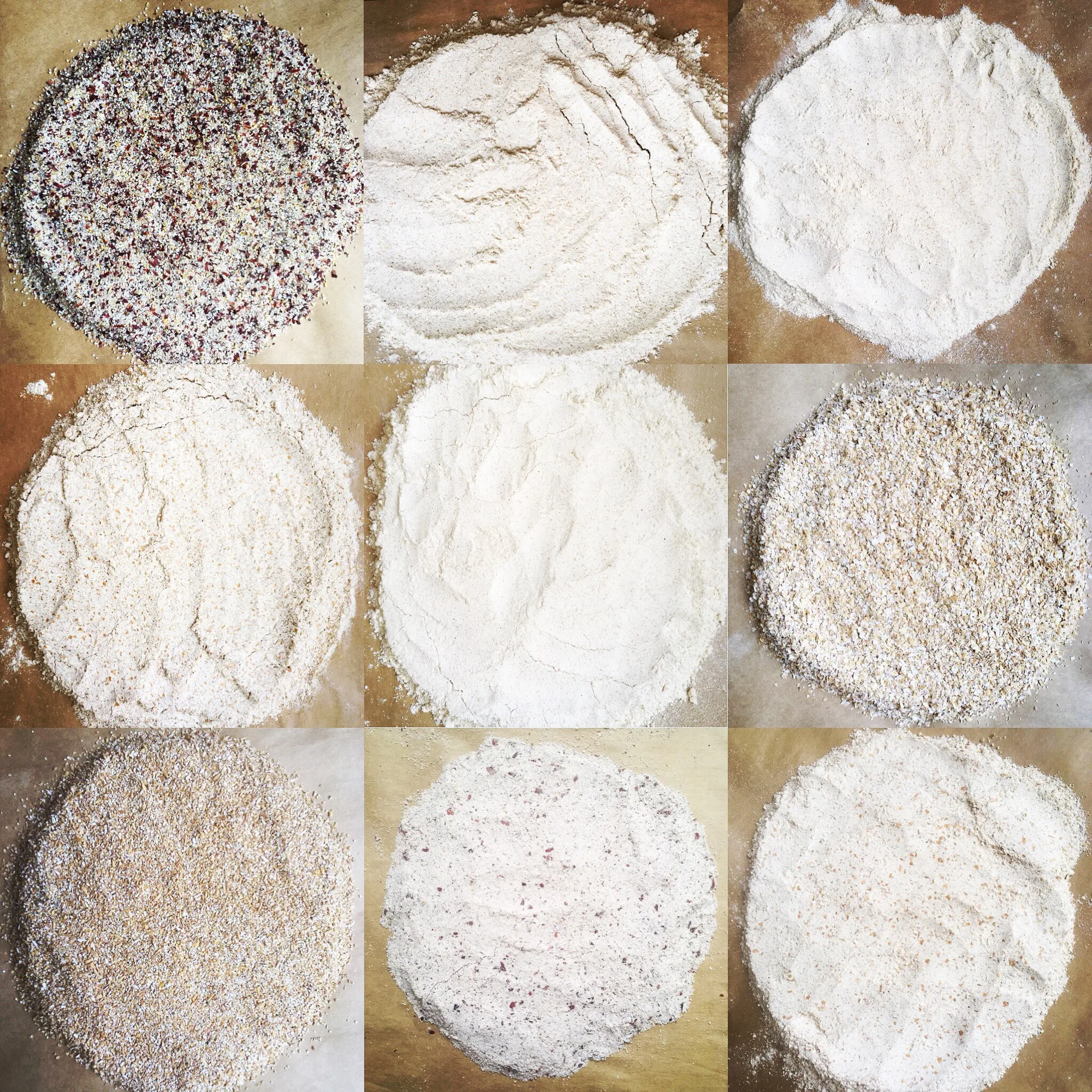 Red Tail Grains work 2