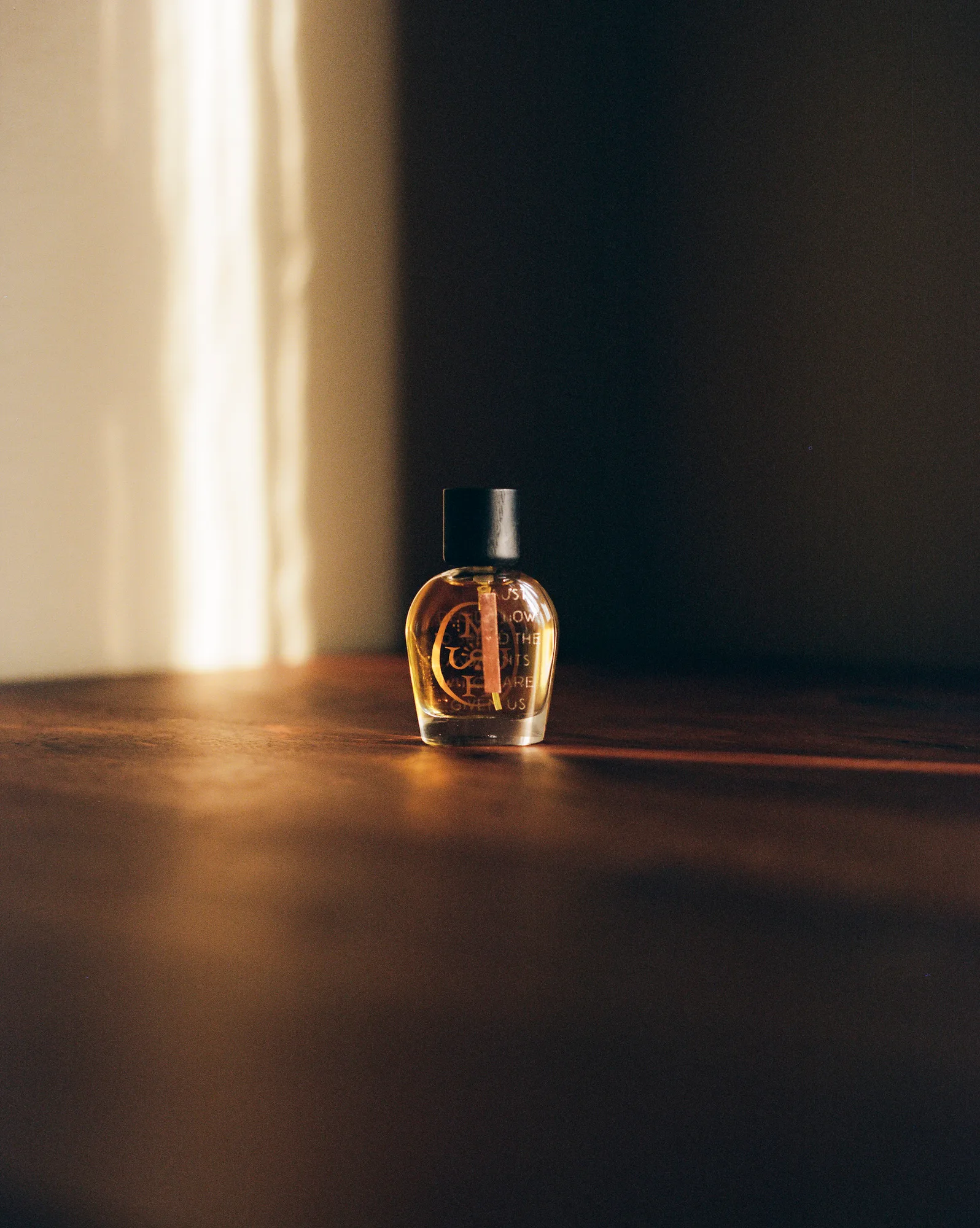 Misc. Goods Co. work 6