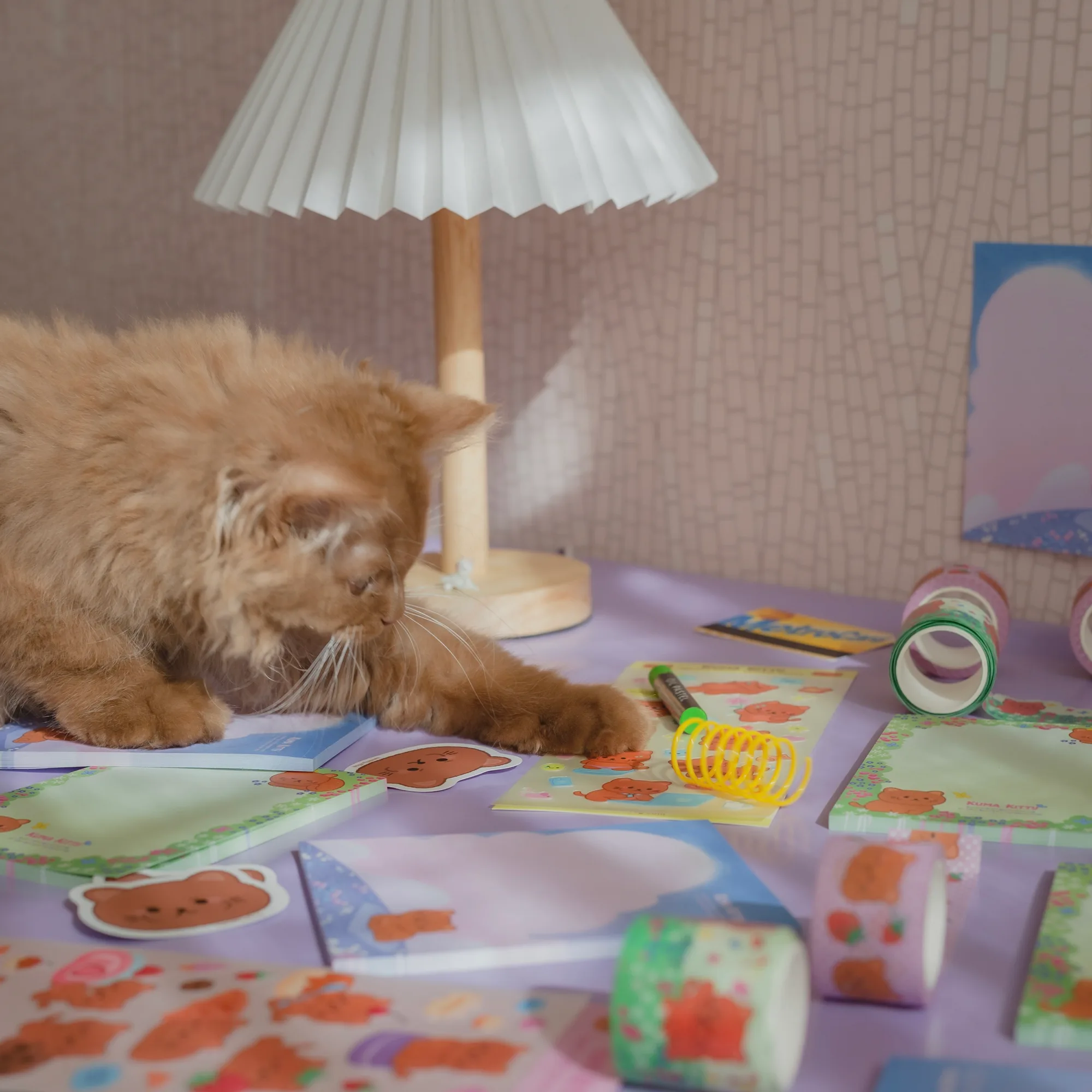 Kuma Kitty Co