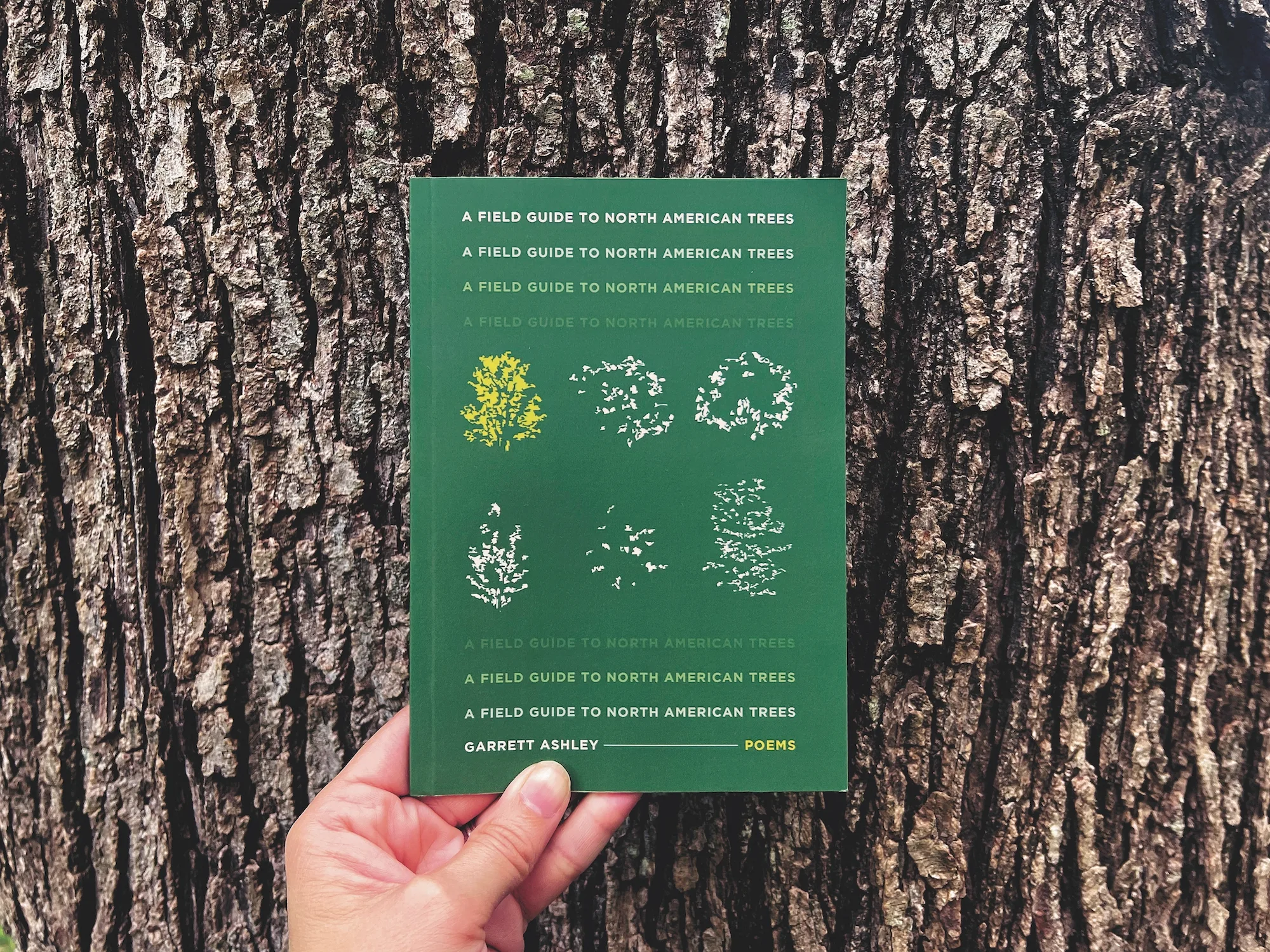 Loblolly Press work 4