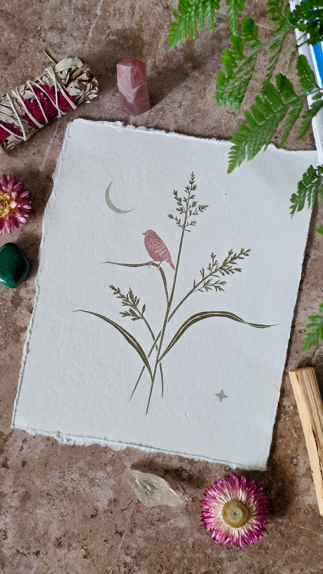 Moon & Meadow Designs