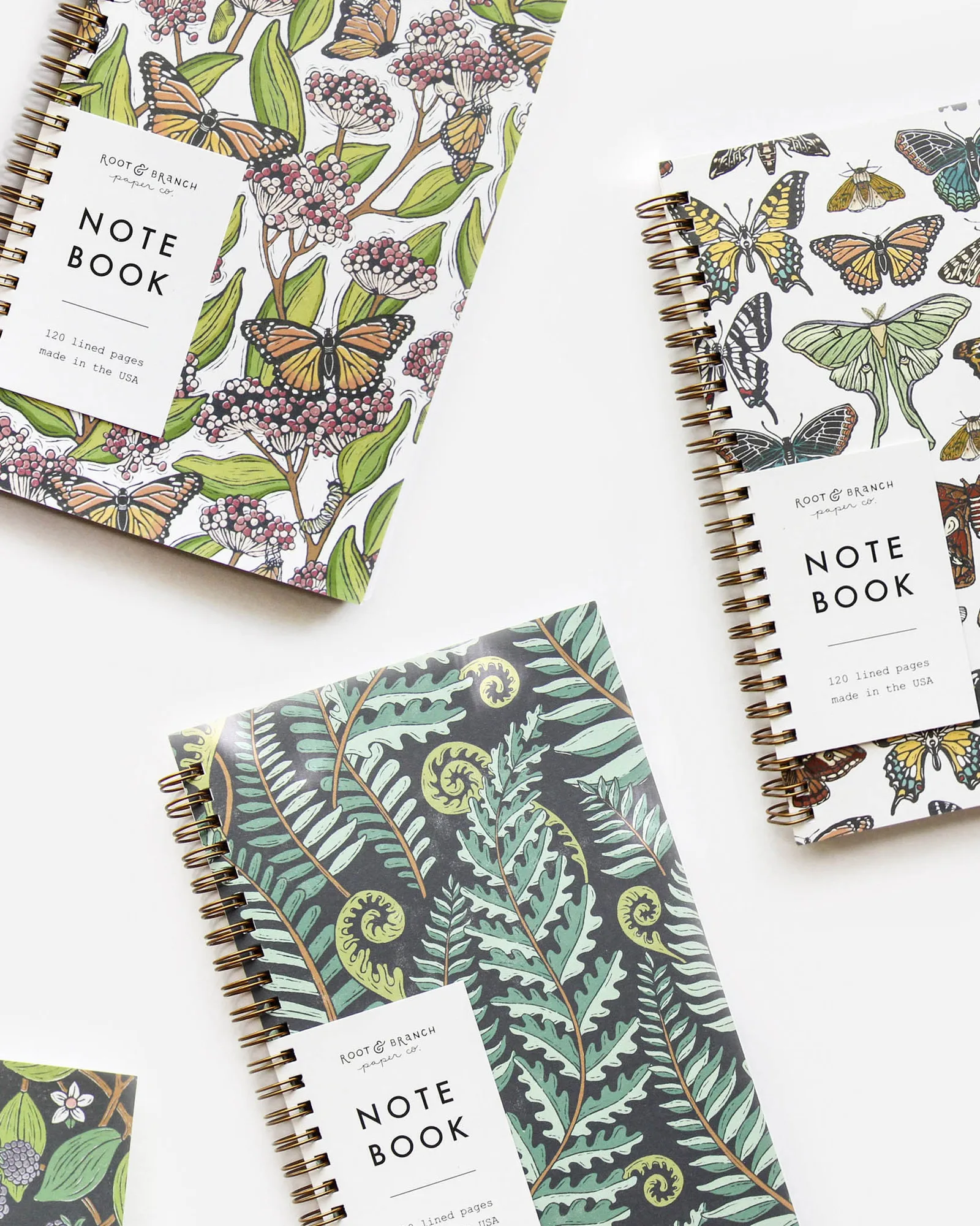 Root & Branch Paper Co.