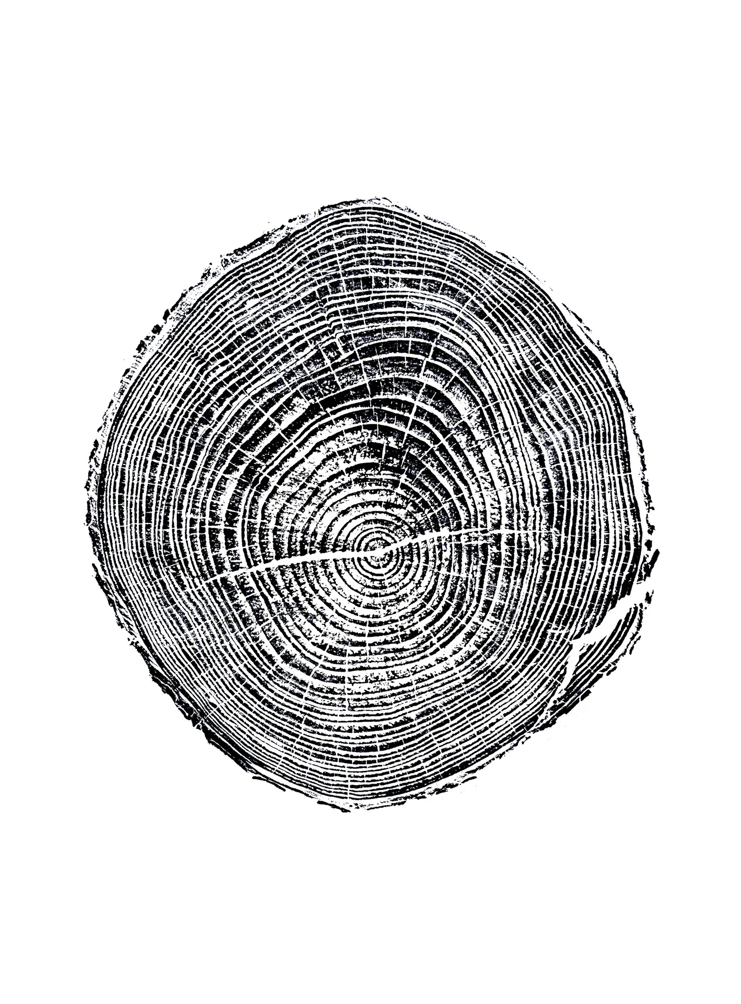 Geneva Puryear work 5