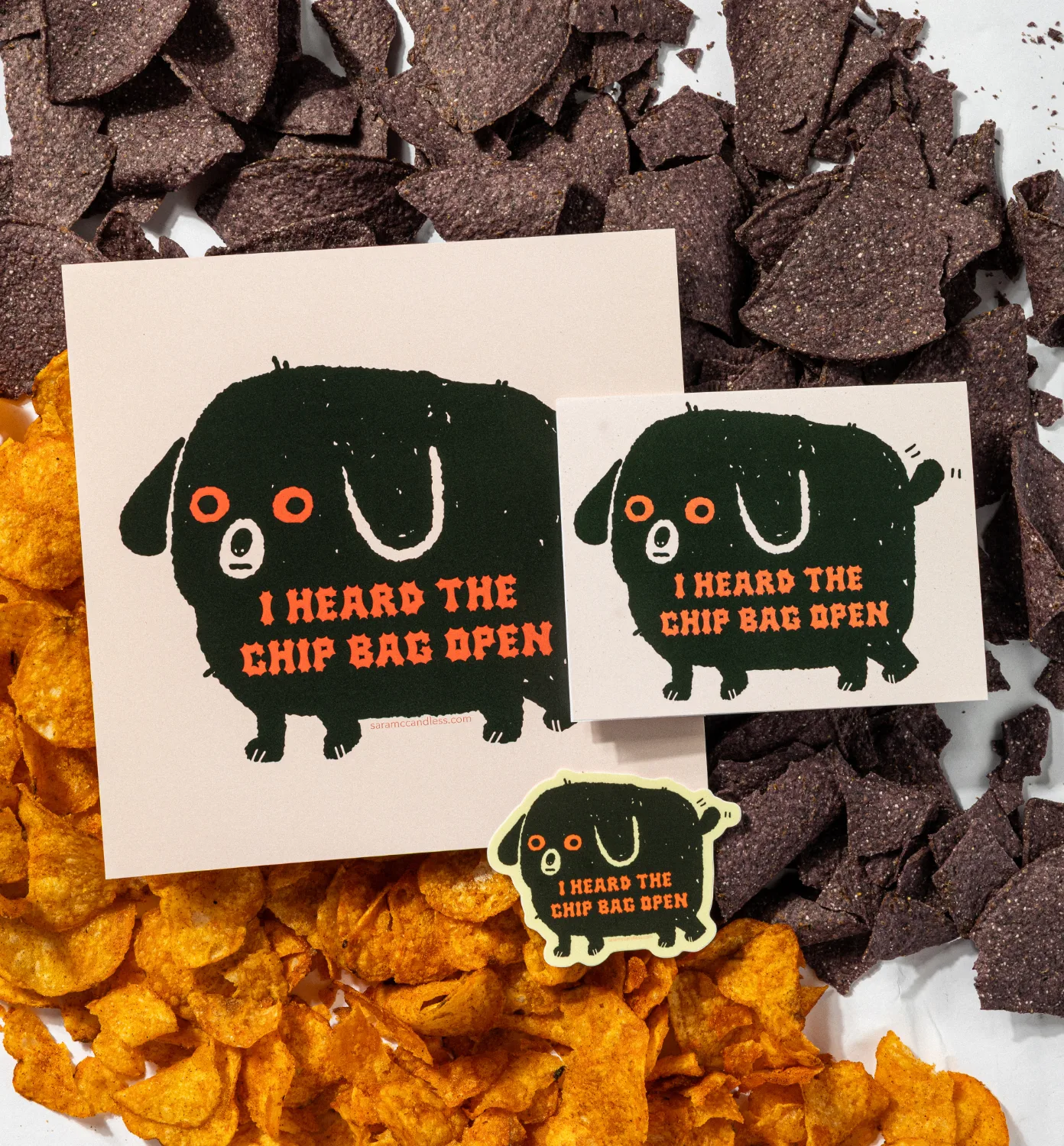 Sara McCandless Illustration work 6