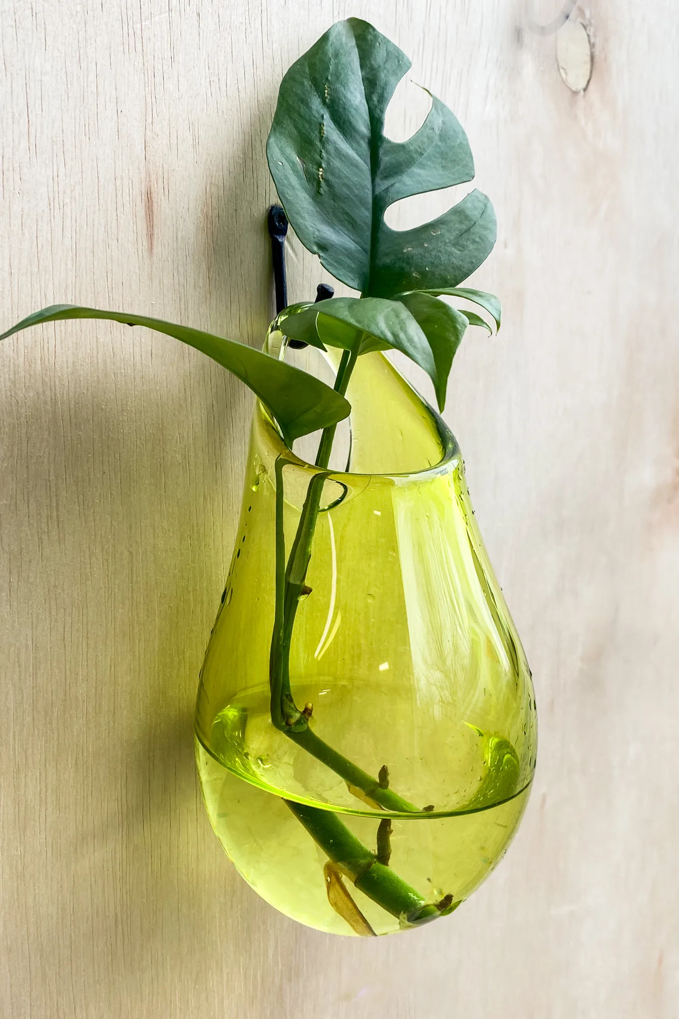 Stephanie McCune Glass work 6